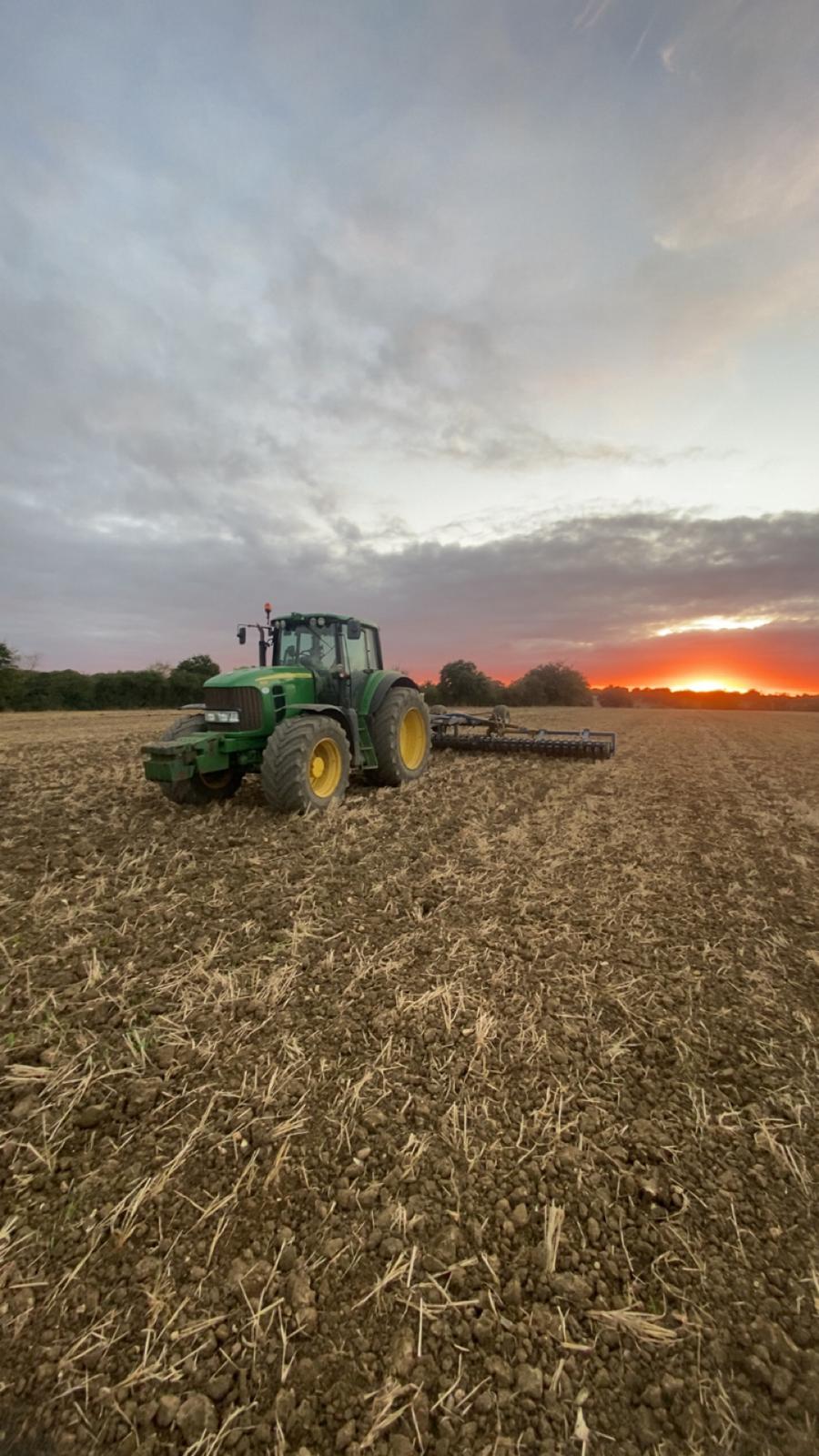 Farm Life at Herbert's Lane